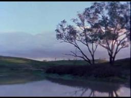 My Survival as an Aboriginal Official Trailer