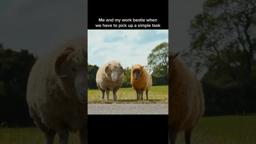 Everything is a two person job.