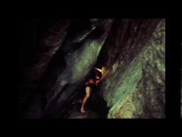 The Creation from Wakefield Poole's Bible