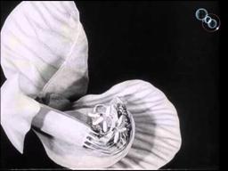 Peas and Cues (1930)