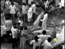 The Indian Woman - An Historical Assessment