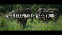 When Elephants Were Young - Trailer 1080p  [2016]