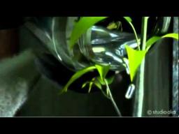 Varmints - Trailer (Marc Craste)