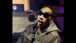 Artists Tribute to Bob Marley