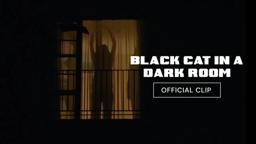 Black Cat in a Dark Room | Trailer