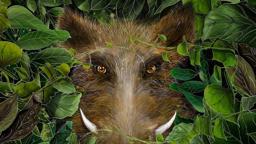 Magnificent Beast Movie Trailer