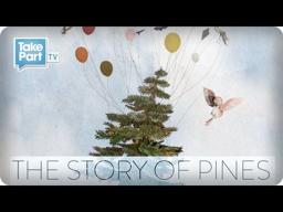 The Story of Pines from Alison Sudol | Participant Media | TakePart TV