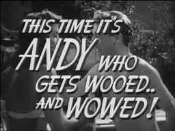 The Andy Hardy Film Collection: Volume 2 (Andy Hardy's Double Life)