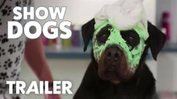 Final Trailer