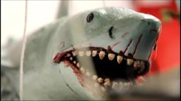 Jaws Finatics - Trailer
