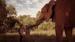 Against the Wild 2 Survive the Serengeti (2016) trailer