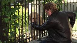 So This Is Christmas Movie Trailer