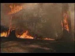 nature unleashed fire