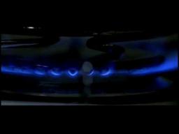 Thinning the Herd by Rie Rasmussen