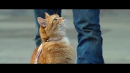 A Street Cat Named Bob - Getting the Punters In Clip - At Cinemas Now