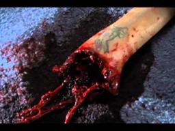 Mega Scorpions Trailer