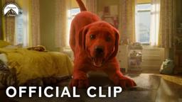 What Happened to Our Dog?!