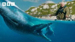 Uncovering the secrets of the terrifying pliosaur