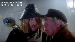 Salty Swedish Sea Dog