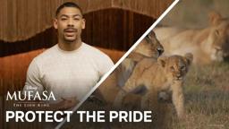 Protect The Pride