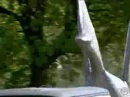 RED GREEN'S DUCT TAPE FOREVER "TRAILER"