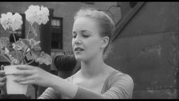 The Greenwich Village Story