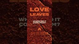 Love Leaves a Mark in Julia Ducournau's ALPHA. [Subtitled]