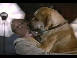In The Dog House Trailer 1999