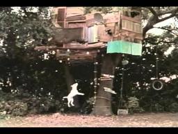 Treehouse Hostage Trailer 1999