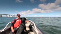 SEARCHDOG OFFICIAL TRAILER