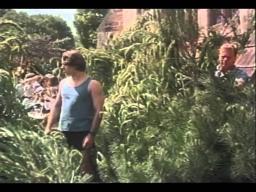 The Sum Of Us Trailer 1995