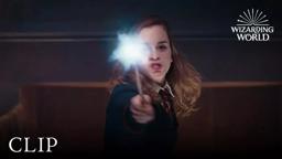 "Stupefy!" Hermione Casts a Spell on a Naive Ron