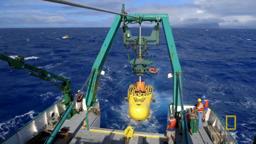 Current State of the Oceans | Sea of Hope: America's Underwater Treasures