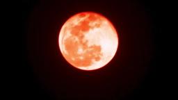 Spriggan (2019) | Official Trailer