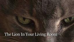 The Lion In Your Living Room - Teaser