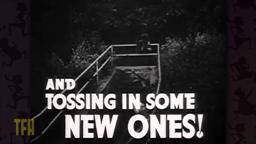 Larry Karaszewski on ALL THROUGH THE NIGHT