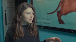 Todd Solondz's Wiener-Dog: The audience reacts