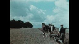English Harvest (1938)