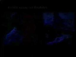 IN THE NAME OF BUDDHA