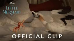 The Scuttlebutt Clip