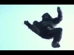 Exists Trailer (2014) Found Footage Horror Movie HD