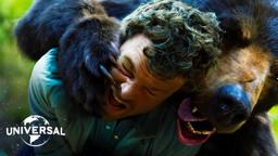 When a Bear Eats Blow