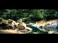 The River Why - OFFICIAL TRAILER