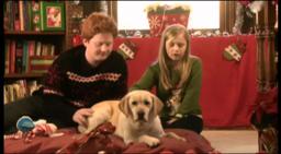 The Dog Who Saved Christmas Trailer