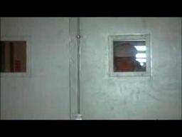 Criterion Trailer 256: Short Cuts