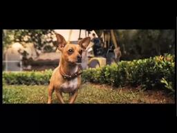Beverly Hills Chihuahua Full Trailer