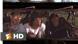 Grandma's Boy (5/5) Movie CLIP - Drive, Monkey, Drive (2006) HD