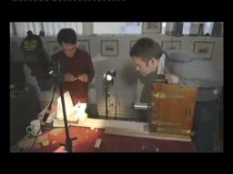 Edwardian Insects On Film