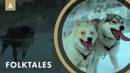 Teens Train Sled Dogs In New Coming Of Age Doc 'Folktales'