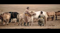 yavuuliin khun trailler ip